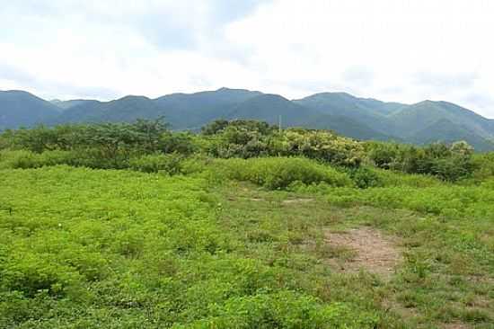 VISTA DA SERRA DA MERUOCA-FOTO:JOS FERREIRA - AROEIRAS - CE