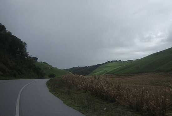 RODOVIA AL-101 E REGIO DE MATRIZ DE CAMARAGIBE-FOTO:IVANALDO ( BABO) - MATRIZ DE CAMARAGIBE - AL