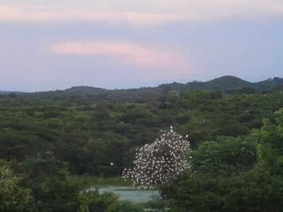 GARAS EM BAIXIO-CE-FOTO:CINZIO RAMALHO - BAIXIO - CE