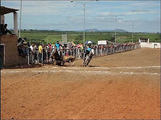 VAQUEJADA EM BAIXIO-CE-FOTO:MIDIACOUNTRY.COM - BAIXIO - CE