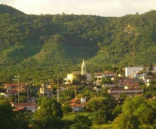 VISTA PARCIAL DE BAIXIO-CE-FOTO:CINZIO RAMALHO - BAIXIO - CE