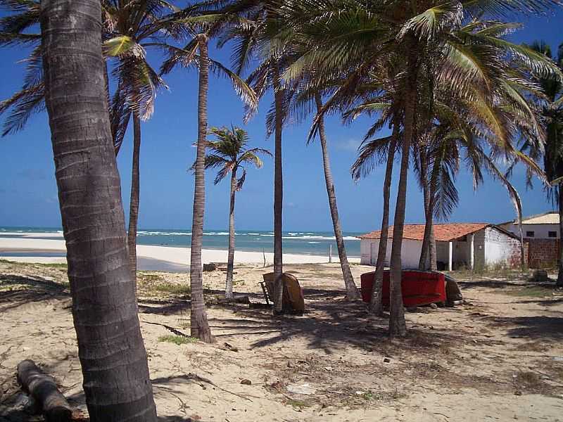 BARRA NOVA-CE-COQUEIROS NA PRAIA-FOTO:JEAN LIRA - BARRA NOVA - CE