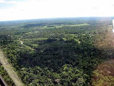 MARECHAL THAUMATURGO - FOTO AREA - VO CRUZEIRO DO SUL A MARECHAL THAUMATURGO  POR DECIOY - MARECHAL THAUMATURGO - AC