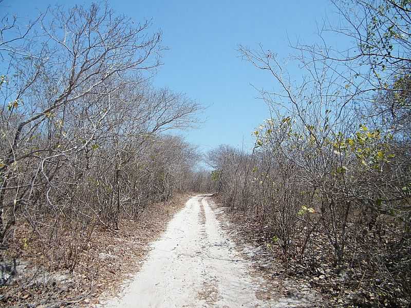 BARROQUINHA-CE-ESTRADINHA NA CAATINGA-FOTO:MARCELO GIOVANNI - BARROQUINHA - CE