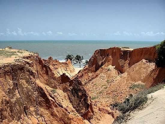 FALSIAS NA PRAIA DAS FONTES EM BEBERIBE-FOTO:HEBERTEGUEDES - BEBERIBE - CE
