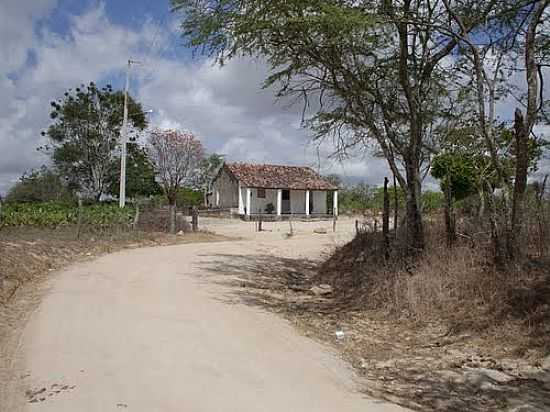 CASA NO POVOADO LAGOA DAS OVELHAS EM MONTEIRPOLIS-AL-FOTO:JOSEALMEDEIROS@HOTMA - MONTEIRPOLIS - AL