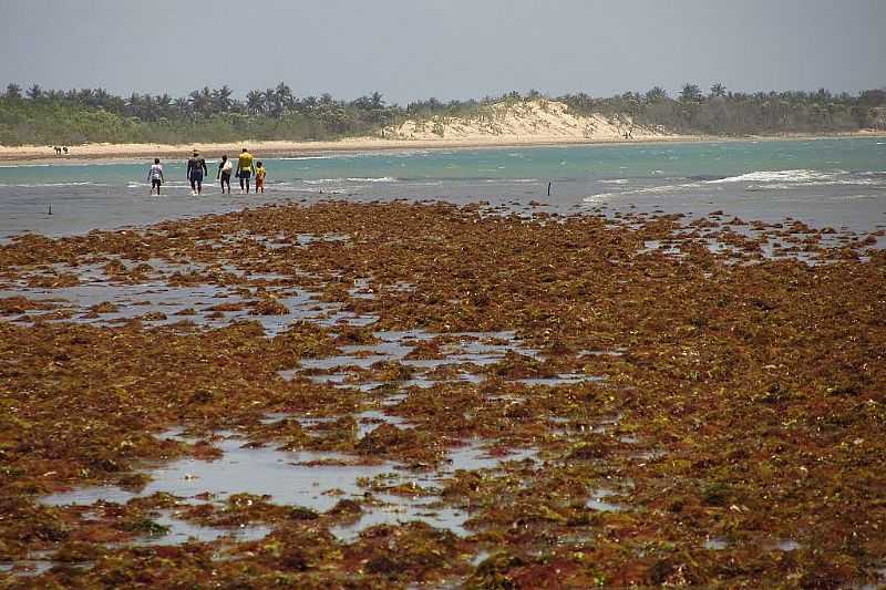 BITUPIT-CE-PRAIA DE BITUPIT-FOTO:MARCUSDAVIS - BITUPIT - CE