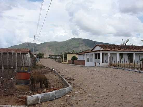 RUA DE VILA RETIRO-FOTO-FOTO:ASSIS ALCANTARA - BOA VISTA DO CAXITOR - CE