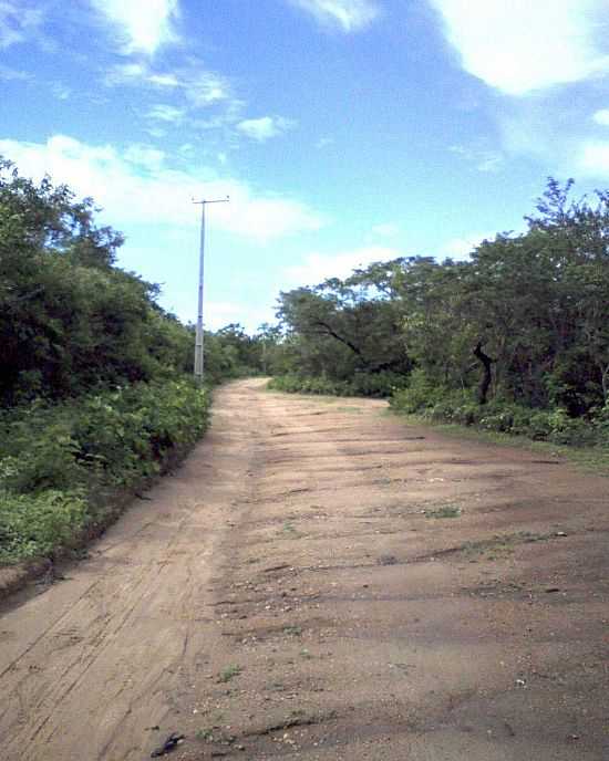 BORGES-CE-ESTRADA DE TERRA-FOTO:ELISSONPH - BORGES - CE