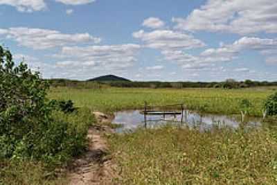 LAGOA-FOTO:KREWINKEL-TERTO DE A - CANAFISTULA - CE