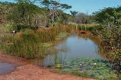 LAGOA-FOTO:KREWINKEL-TERTO DE A - CANAFISTULA - CE