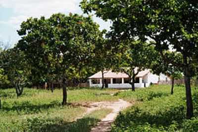 CASA REA RURAL-FOTOKREWINKEL-TERTO DE A - CANAFISTULA - CE