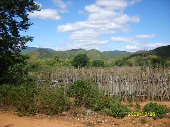 VAZANTE DO CUR,SERTO DE CANIND., POR BY FRANCISCO NASCIMENTO - CANIND - CE