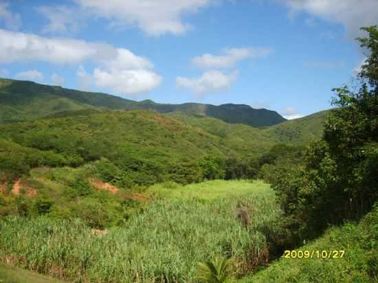 SERRA DA UMBURANA,SERTO DE CANIND, POR FRANCISCO NASCIMENTO - CANIND - CE