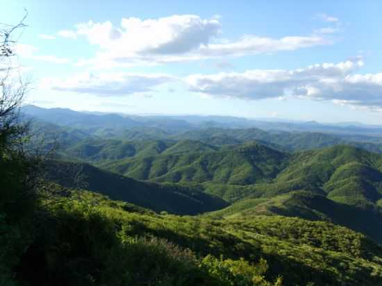ALTO DA SERRA DA UMBURANA, - , POR FRANCISCO NASCIMENTO - CANIND - CE