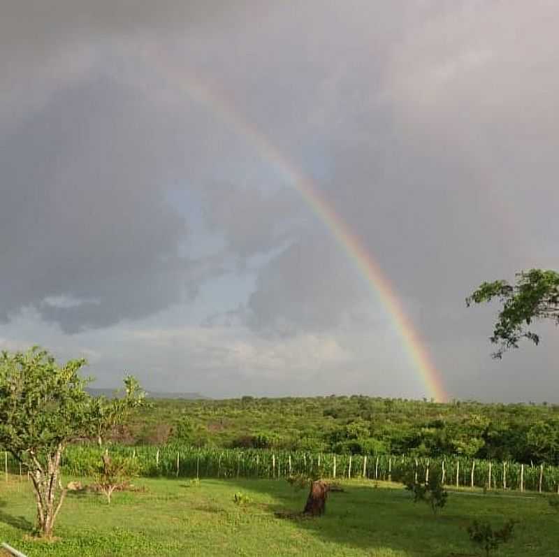 IMAGENS DA CIDADE DE CAPISTRANO - CE - CAPISTRANO - CE