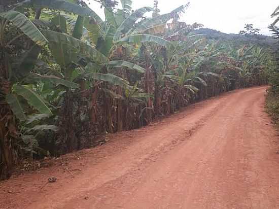 ESTRADA PARA A SERRA DO VICENTE EM CAPISTRANO-CE-FOTO:ZENANDRE - CAPISTRANO - CE