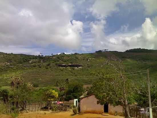 VISTA DE CAJUAIS EM CAPISTRANO-CE-FOTO:ZENANDRE - CAPISTRANO - CE