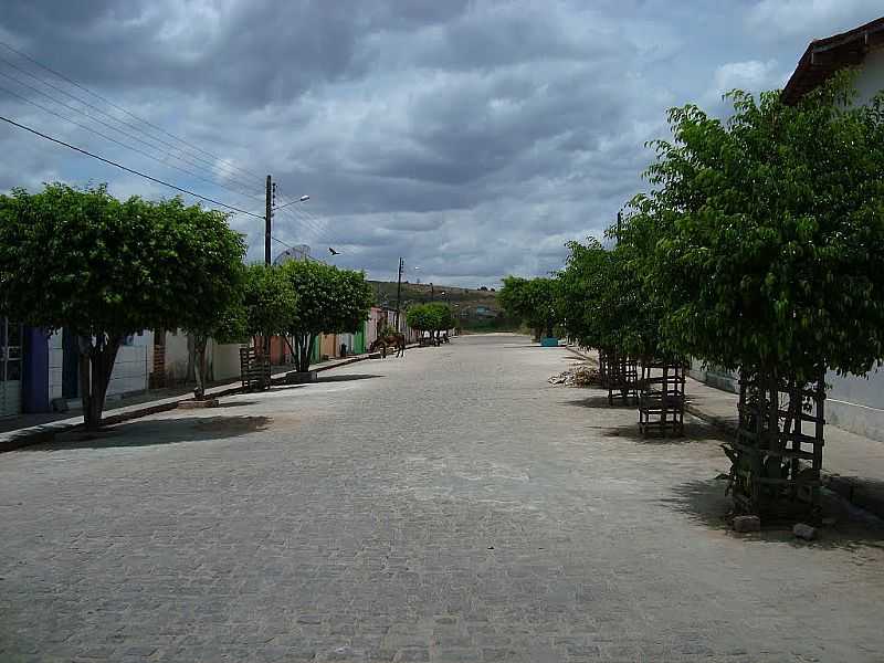 OLHO DGUA DAS FLORES-AL-RUA ARBORIZADA-FOTO:NILSON BARBOSA - OLHO D'GUA DAS FLORES - AL