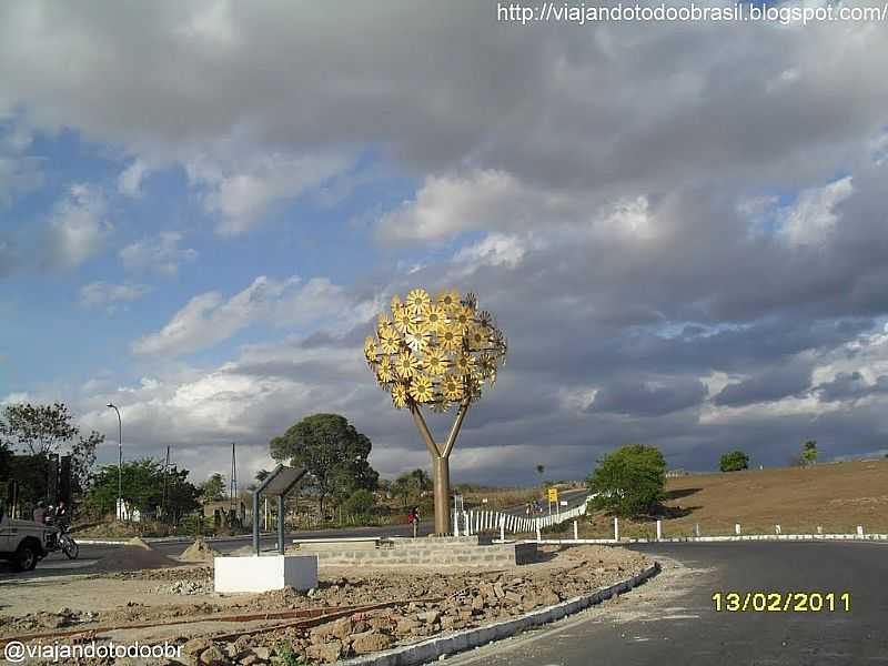 OLHO DGUA DAS FLORES-AL-TREVO DE ACESSO-FOTO:SERGIO FALCETTI - OLHO D'GUA DAS FLORES - AL