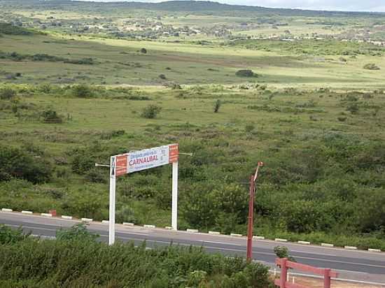 ENTRADA DE CARNAUBAL-FOTO:DOTY - CARNAUBAL - CE