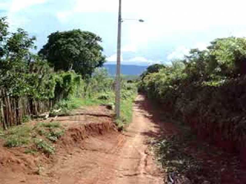 CARQUEJO-CE-ESTRADA RURAL-FOTO:RAIZEVEDO - CARQUEJO - CE