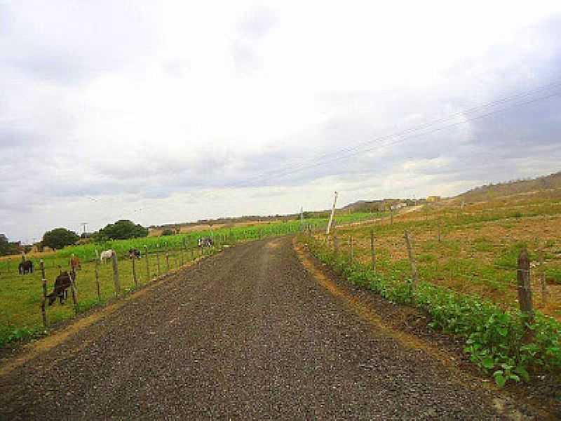 CRUZEIRINHO-CE-ESTRADA DO DISTRITO-FOTO:NILDOMAR - CRUZEIRINHO - CE