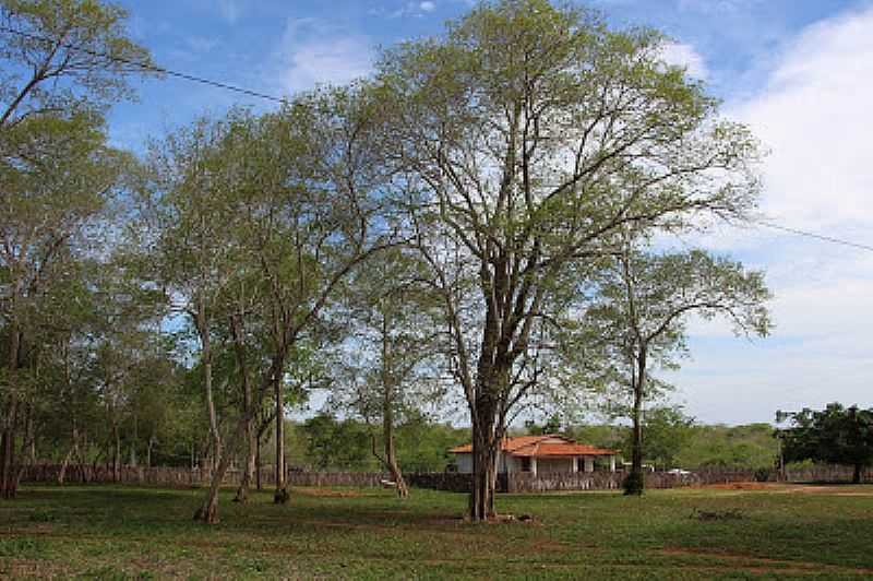 DANIEL DE QUEIROZ-CE-FAZENDA DO PAI DE RAQUEL DE QUEIROZ-FOTO:BLOGDOMELO32 - DANIEL DE QUEIRS - CE