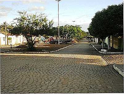 AVENIDA-FOTO:NEWERTONSANTOS - PALMEIRA DE FORA - AL