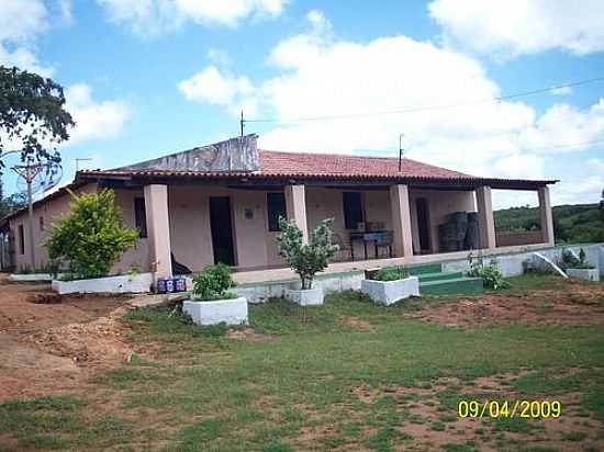 CASA SEDE DE FAZENDA-FOTO: JOSE FRATERNO - FELIZARDO - CE