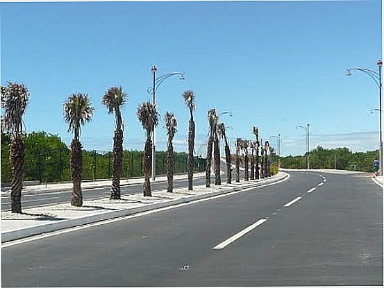 AVENIDA DIOGUINHO EM FORTALEZA-FOTO:PAULO TARGINO MOREIR - FORTALEZA - CE