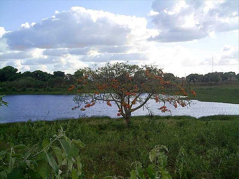 PALMEIRA DOS NDIOS-AL-AUDE-FOTO:CRISTIANO SOARES - PALMEIRA DOS NDIOS - AL