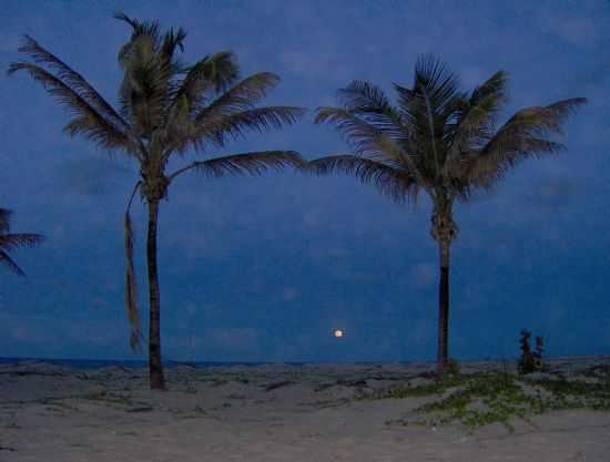 -PRAIA DE GUAJIRU-CE., POR NGELO ALENCAR - GUAJIRU - CE