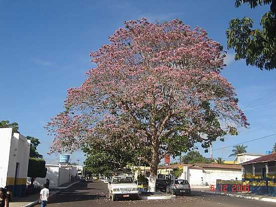 GUARACIABA DO NORTE-CE-AVENIDA MONSENHOR FURTADO-FOTO:ANDR N. GOMES - GUARACIABA DO NORTE - CE