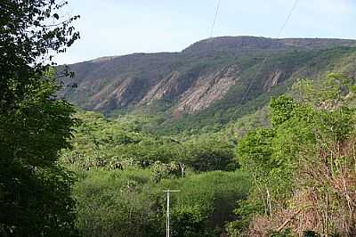 SERRA DO COIT-FOTO:DARLAN FONTENELE MAG  - IBUGUAU - CE