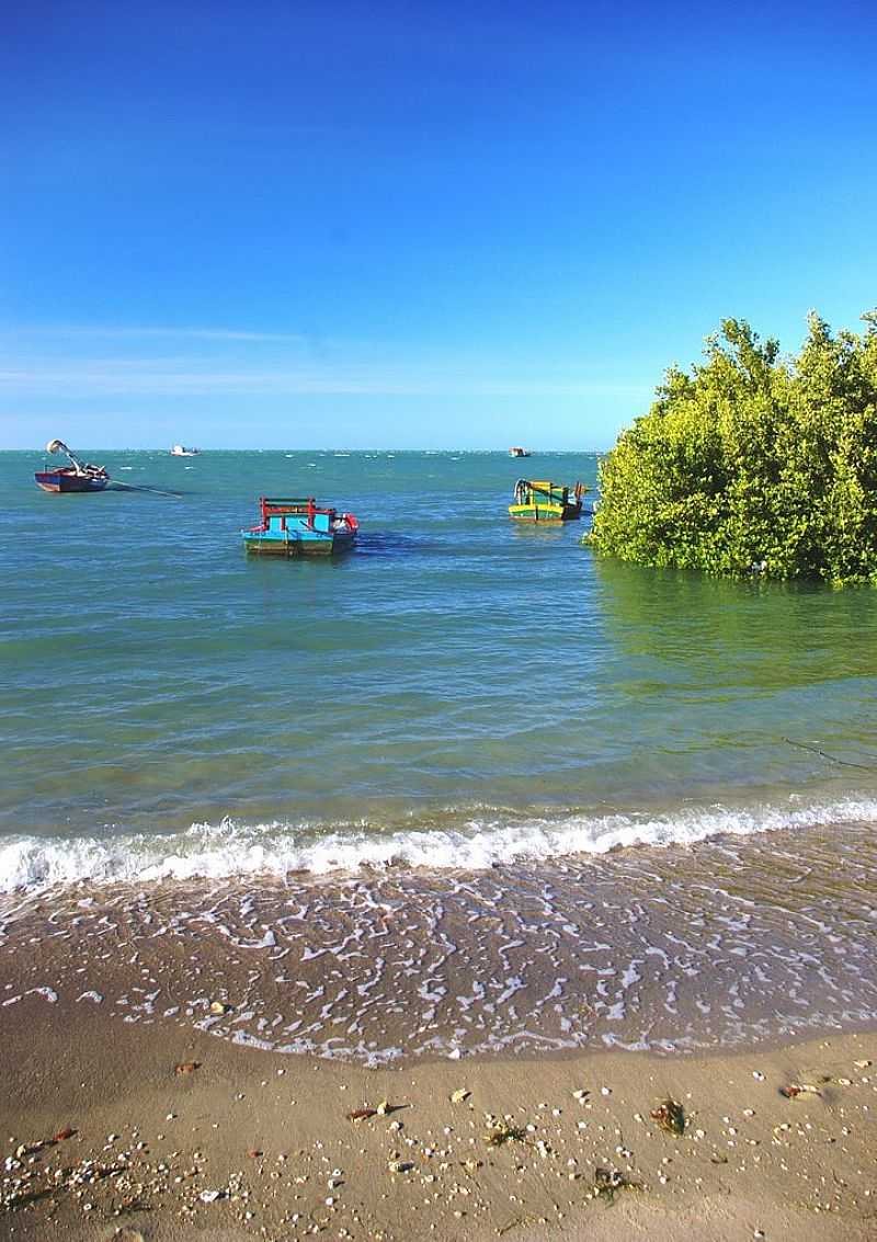 ICAPU-CE-PEQUENA ILHA NA PRAIA-FOTO:NIMRA MHAD - ICAPU - CE