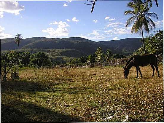 NATUREZA, POR FILHO DE ICOZINHO - ICOZINHO - CE