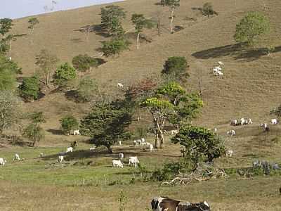 REA RURAL EM PAULO JACINTO POR FLEURY BARROS - PAULO JACINTO - AL