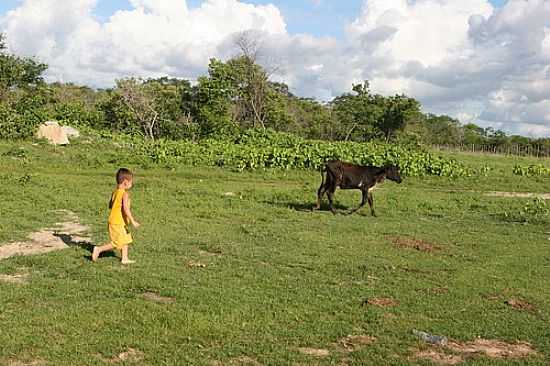 JAGUARIBARA FOTO REGINALDO GRANJA - JAGUARIBARA - CE