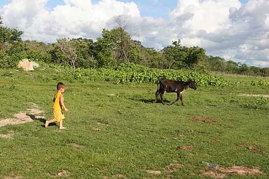 JAGUARIBARA FOTO REGINALDO GRANJA - JAGUARIBARA - CE