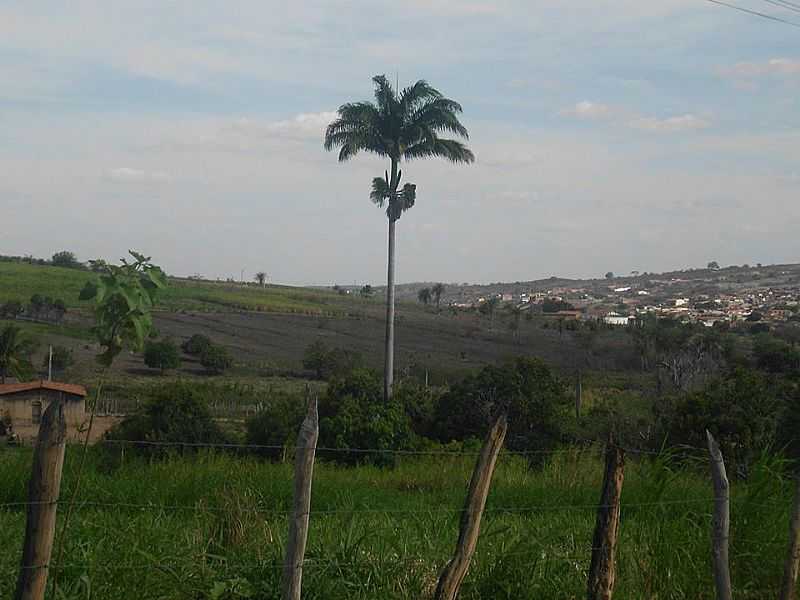 IMAGENS DA CIDADE DE JARDIM - CE - JARDIM - CE