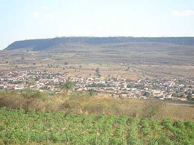 JARDIM AO LONGE. - JARDIM - CE