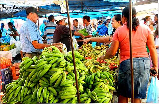FEIRA LIVRE DE JARDIM CE, POR REGIA MARIA BEZERRA AMARO - JARDIM - CE