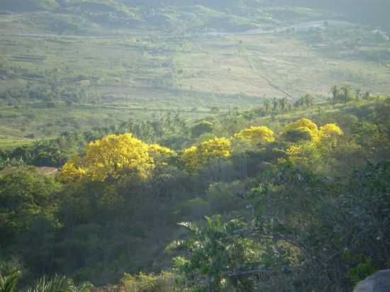 P DE SERRA, JARDIM-CE, POR TK - JARDIM - CE