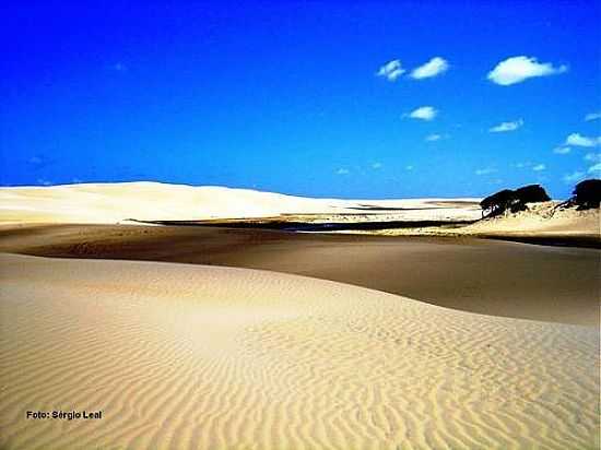 DUNAS DO PEBA EM PIACABUU-FOTO:SRGIO LEAL POSTADA POR OPA_AL - PIACABUU - AL