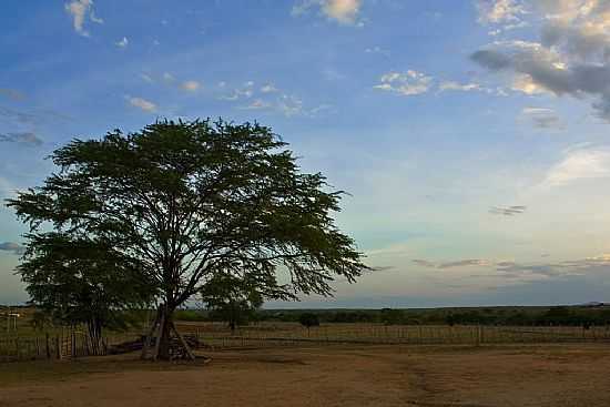 PAISAGEM DA REGIO DE JORDO-CE-FOTO:RWAGNERVM - JORDO - CE