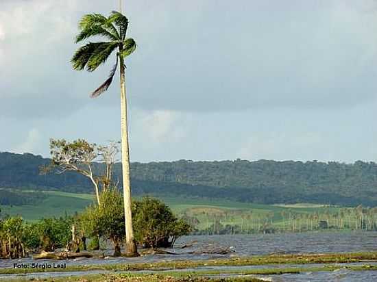 FZ DO RIO PARABA DO MEIO EM PILAR-FOTO:OPA_AL - PILAR - AL