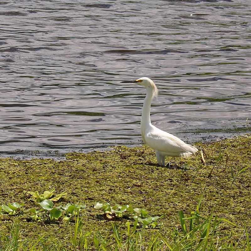 IMAGENS DA LOCALIDADE DE LADEIRA GRANDE DISTRITO DE MARANGUAPE - CE BALNARIO RECANTO DAS GUAS - LADEIRA GRANDE - CE