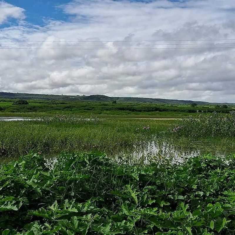 IMAGEM DA CIDADE   DE LAGOA DOS CRIOULOS - CE - LAGOA DOS CRIOULOS - CE