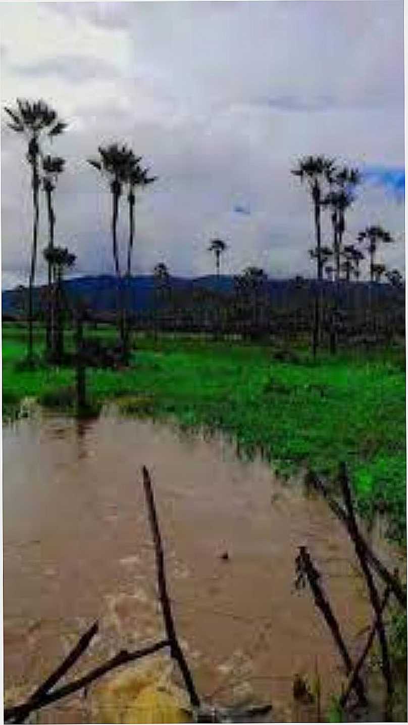 IMAGEM DO DISTRITO DE LAMBEDOURO MUNICPIO DE VIOSA DO CEAR - CE - LAMBEDOURO - CE